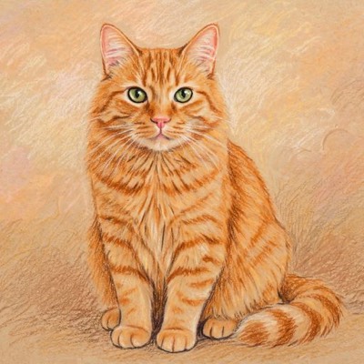 Cat portrait in the Pastel style