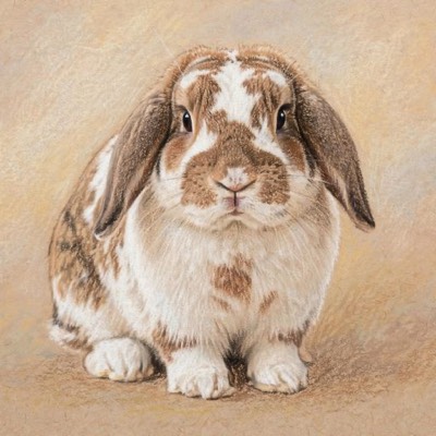 Any pet portrait in the Pastel style